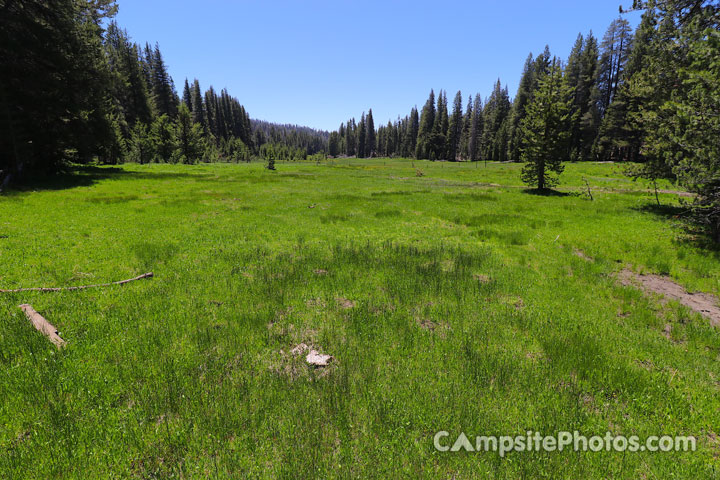 Big Meadows Campground Scenic Meadow