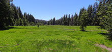 Big Meadow &#8211; Sequoia National Forest