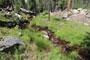 Landslide Campground Creek View