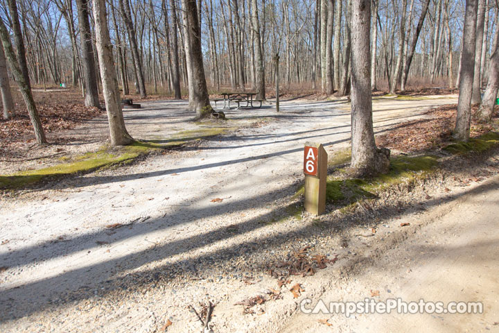 Turkey Swamp Park A006