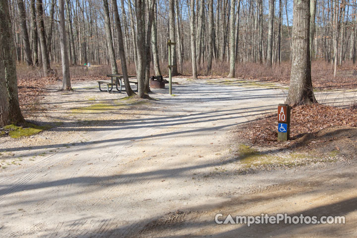 Turkey Swamp Park A010