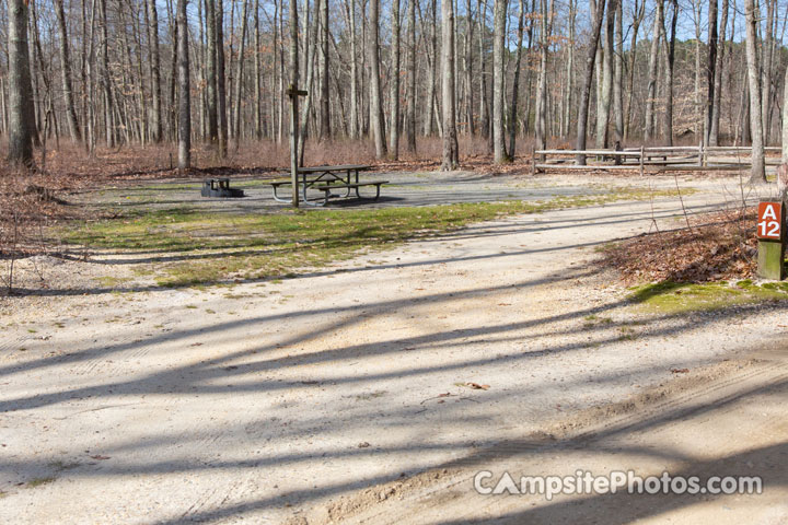 Turkey Swamp Park A012