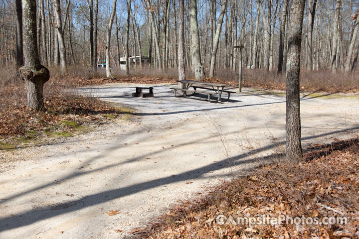 Turkey Swamp Park B003