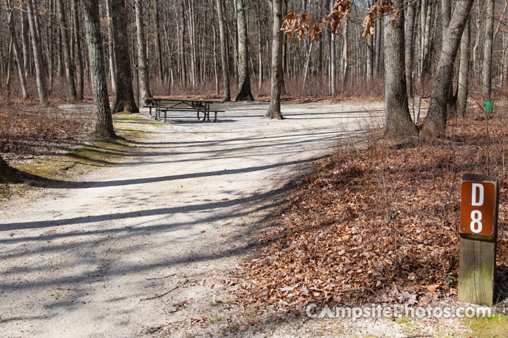 Turkey Swamp Park D008