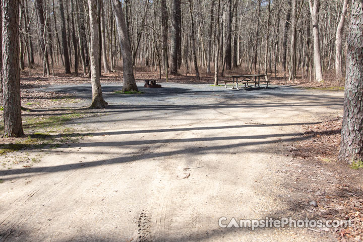 Turkey Swamp Park E004