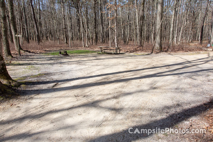 Turkey Swamp Park E008