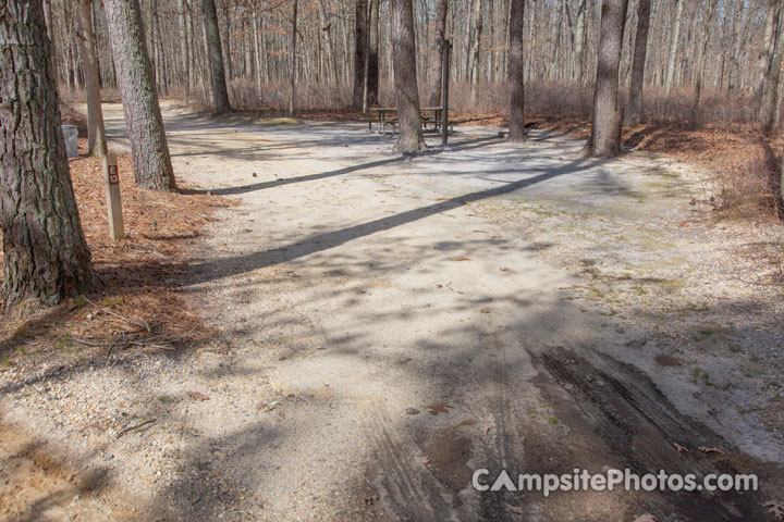 Turkey Swamp Park E013