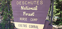 Cultus Corral Horse