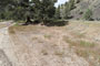 Lone Pine Campground 001