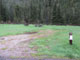 Moose Creek Flat Campground 007