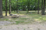 Wilson State Park Campsite 045