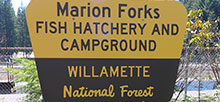 Marion Forks