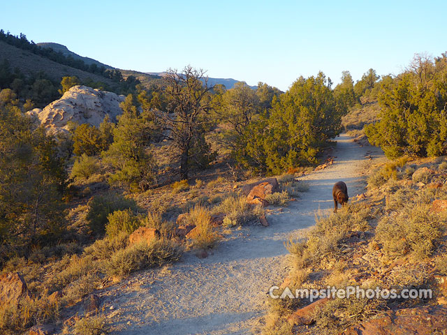 Hickison Petroglyphs Rec Area Campground Trail