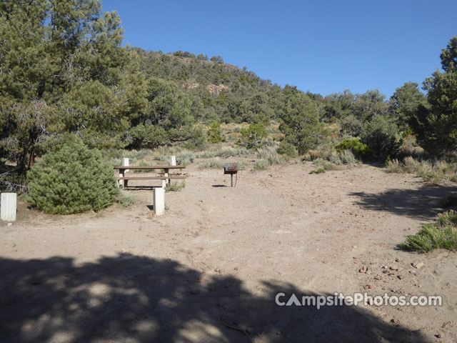 Hickison Petroglyphs Recreation Area Campground 006