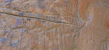 Hickison Petroglyphs Recreation Area