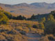 Hickison Petroglyphs Rec Area Campground Scenery