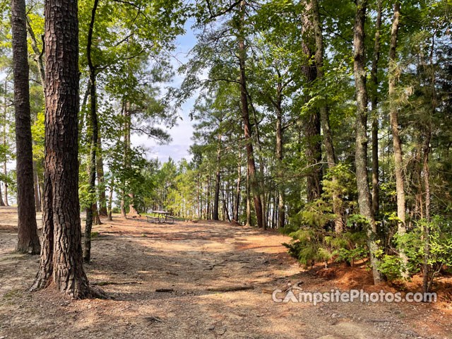 Kimball Point Campground 010