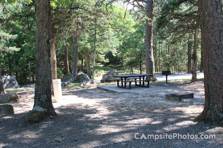 Mt. Nebo State Park Campsite 010