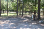 Mt. Nebo State Park Campsite 003