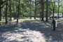 Mt. Nebo State Park Campsite 008