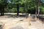 Mt. Nebo State Park Overflow Campsite 005