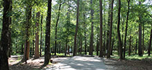 DeGray Lake Resort State Park