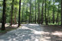 DeGray Lake Resort State Park A017