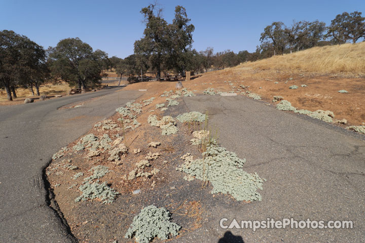 Blue Oaks Campground C019