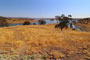 Blue Oaks Campground Don Pedro Reservoir Scenic