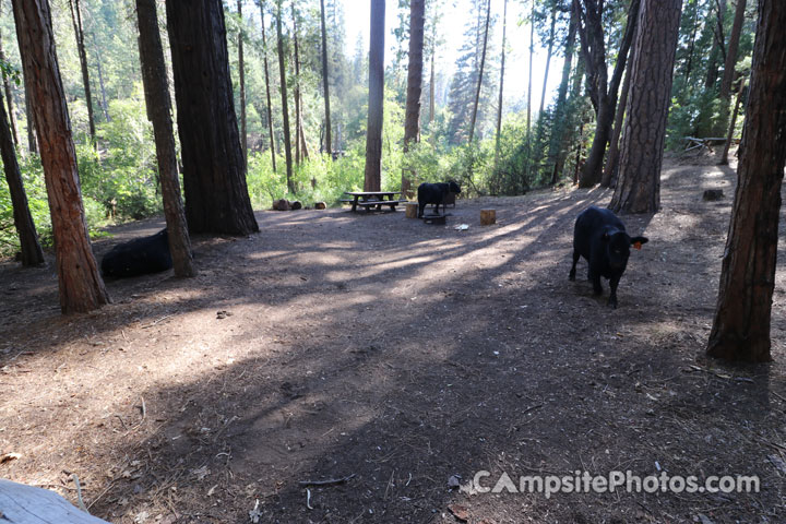 Wakalu Hep Yo Campground 015