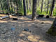 Wakalu Hep Yo Campground Cows