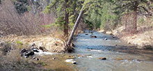 Boxelder Forks