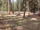 Boxelder Forks Campground 002