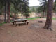 Boxelder Forks Campground 014