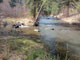 Boxelder Forks Campground Boxelder Creek View