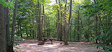 Pickerel Lake (Kalkaska) State Forest