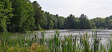 Pickerel Lake (Kalkaska) State Forest