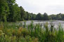 Pickerel Lake (Kalkaska) State Campground Scenic