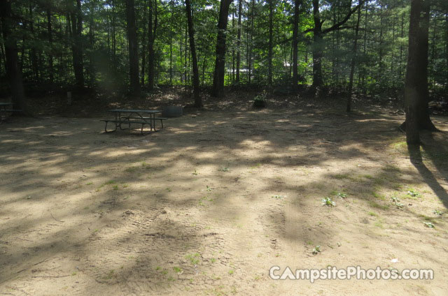 Otsego Lake State Park 051