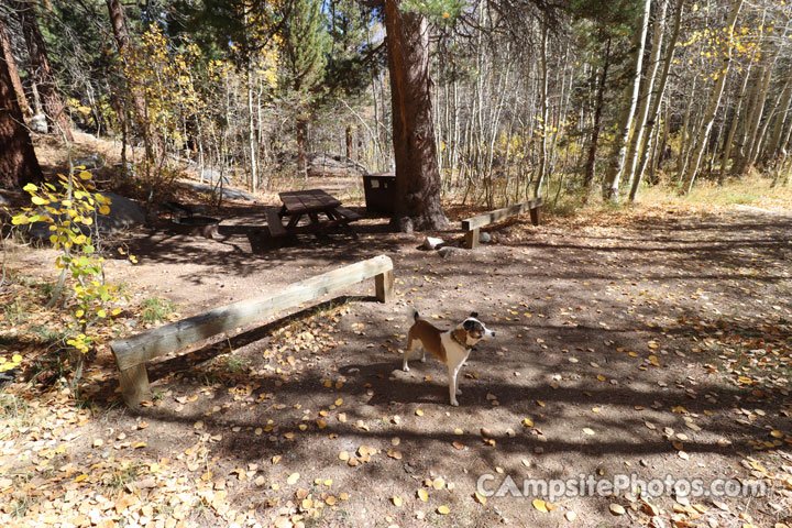 Green Creek Campground 009 Camp Area