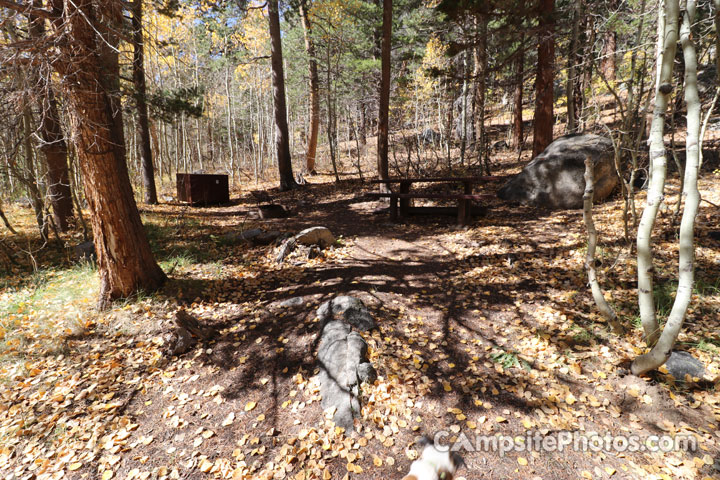 Green Creek Campground 011 Camp Area