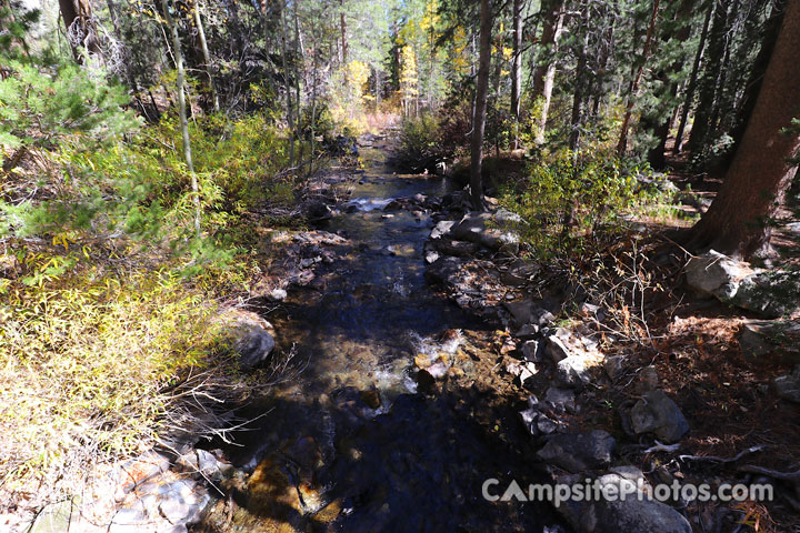 Green Creek Campground Creek View