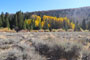 Green Creek Campground Canyon Scenic