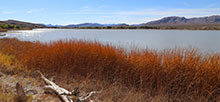 Upper Pahranagat Lake