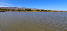 Upper Pahranagat Lake