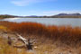 Pahranagat National Wildlife Refuge Upper Lake Scenic