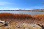 Pahranagat National Wildlife Refuge Upper Lake View