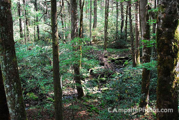 Cosby Group Campground Creek View