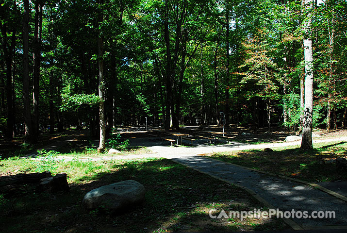 Cades Cove Group 3