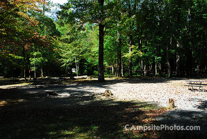 Cades Cove Group 4